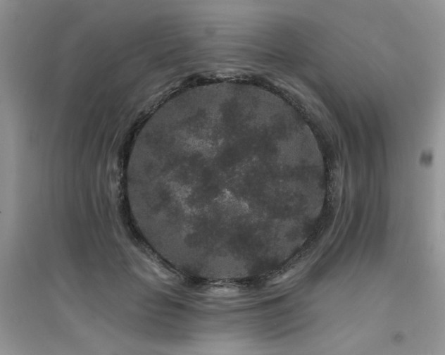 X0000094960653200711291442