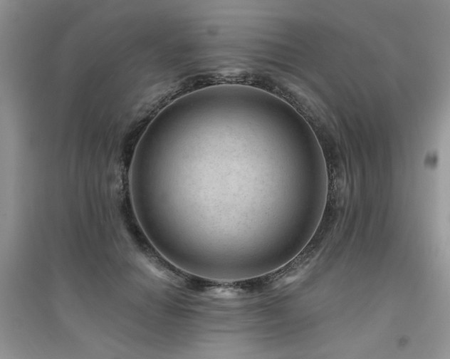 X0000094960654200711291442