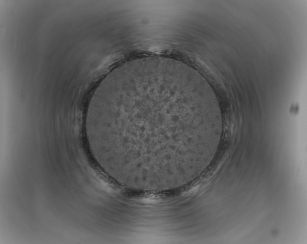 X0000094960656200711291442