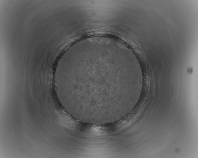 X0000094960657200711291442