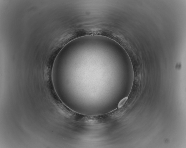 X0000094960658200711291442