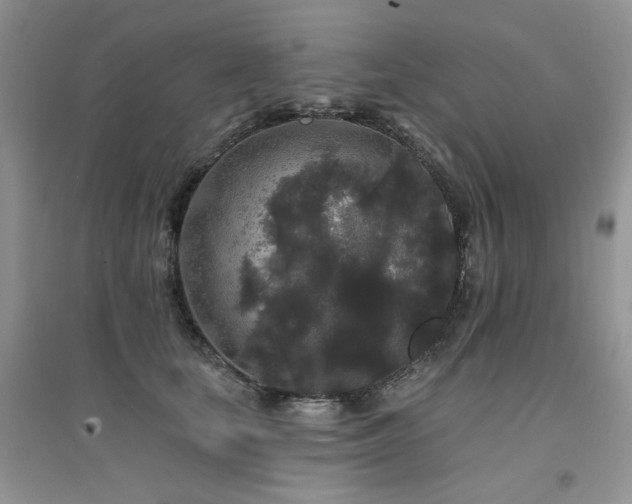 X0000094960659200711291442