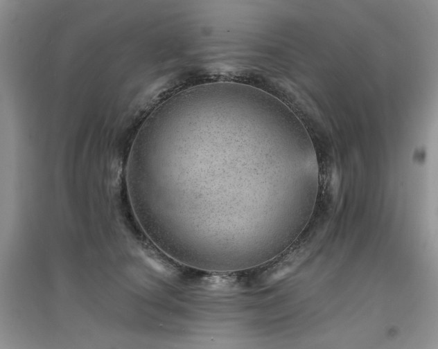 X0000094960660200711291442