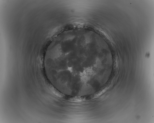 X0000094960661200711291442