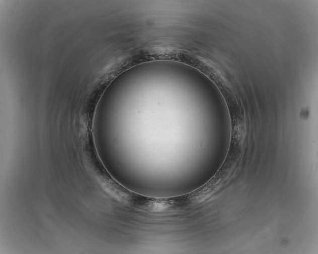 X0000094960662200711291442