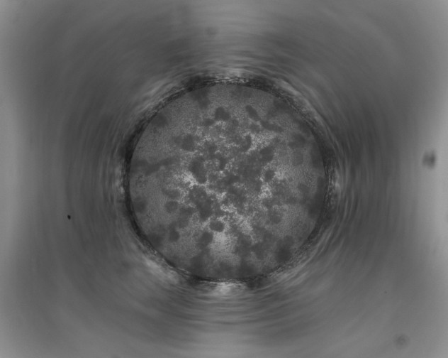 X0000094960663200711291442