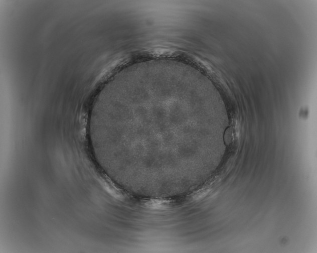 X0000094960664200711291442