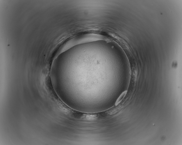 X0000094960665200711291442