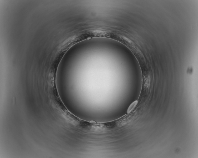 X0000094960666200711291442