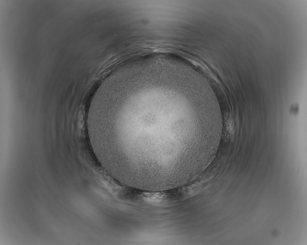 X0000094960667200711291442