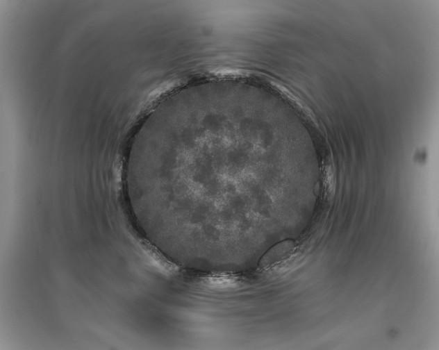 X0000094960668200711291442