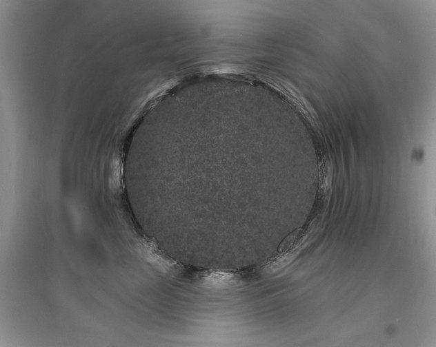 X0000094960669200711291442