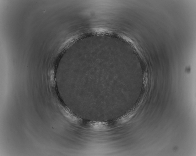 X0000094960670200711291442