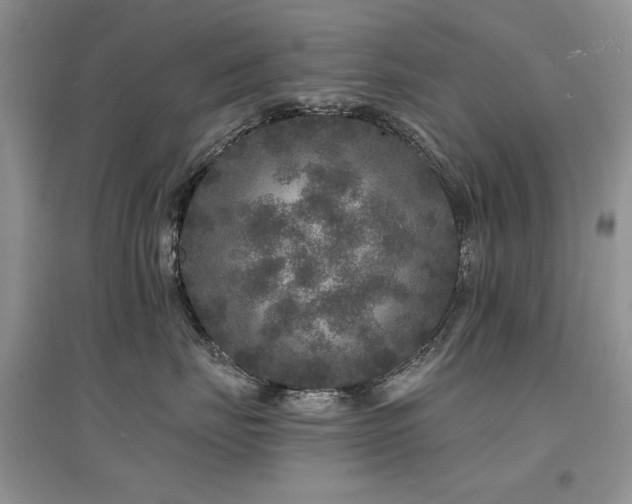 X0000094960671200711291442