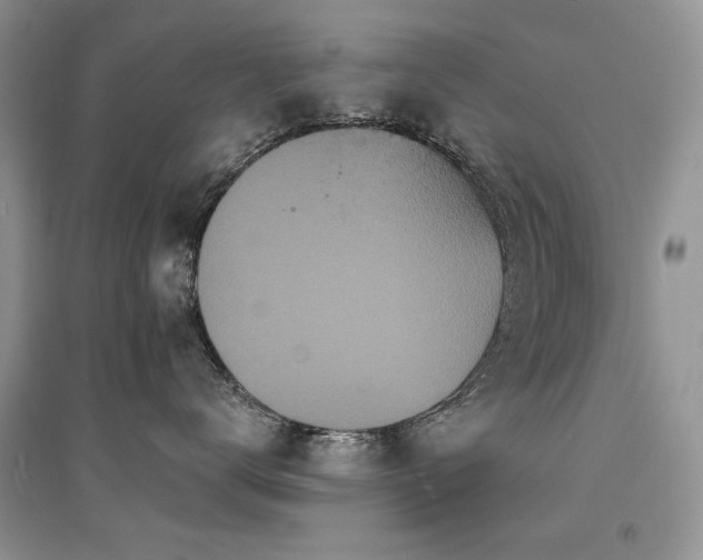 X0000094960672200711291442