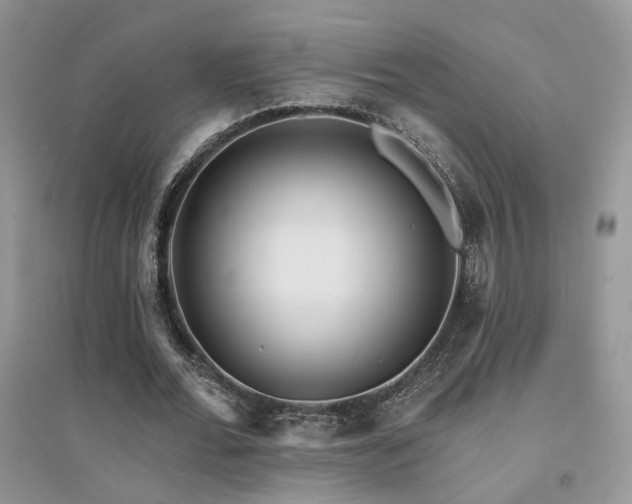 X0000094960676200711291441