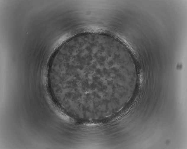 X0000094960679200711291441