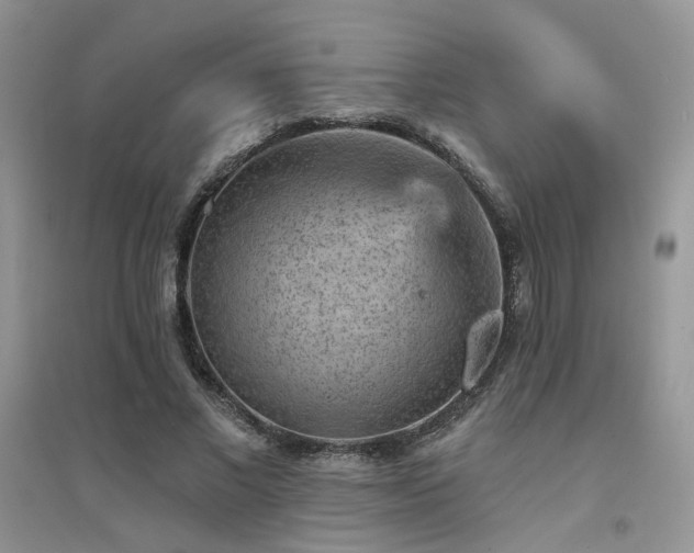 X0000094960685200711291441