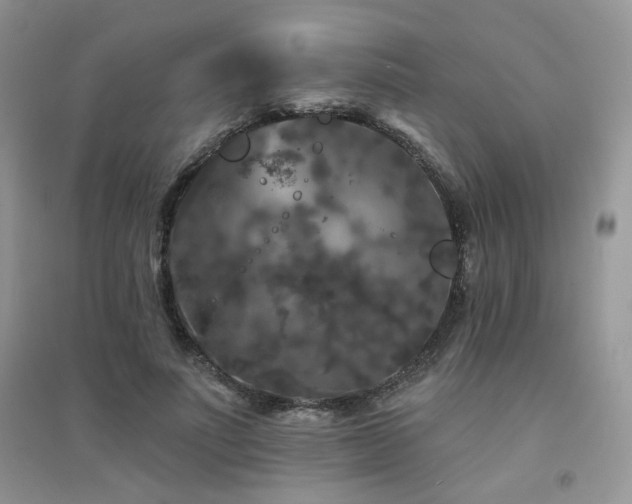 X0000094960691200711291441