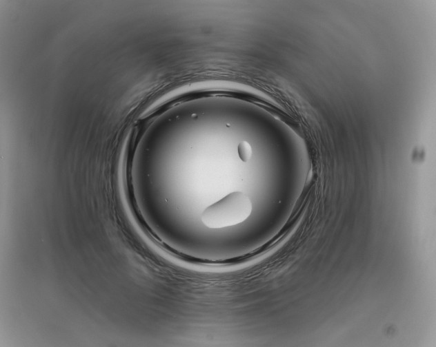 X0000094960696200711291441