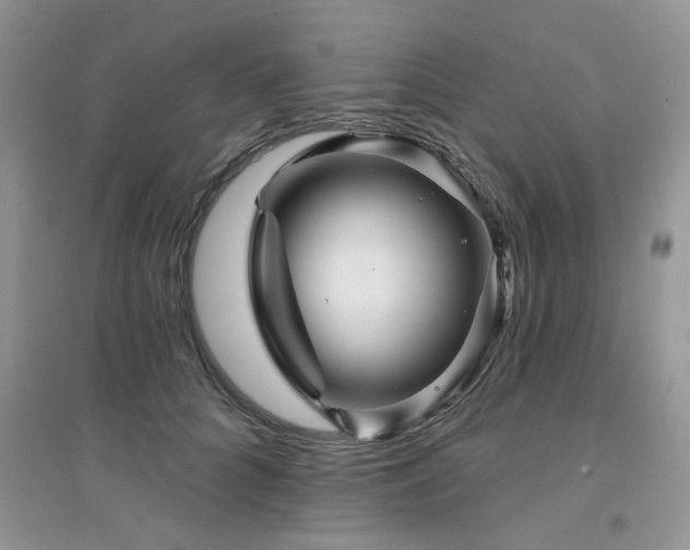 X0000094960704200711291441