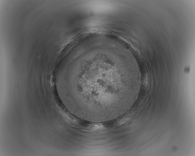 X0000094960715200711291441