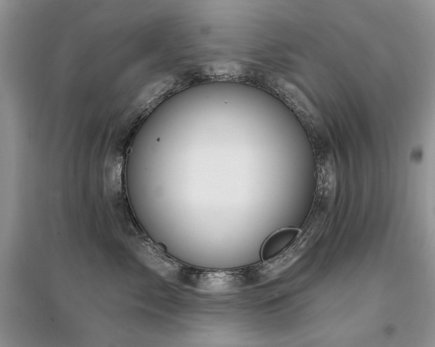 X0000094960717200711291441