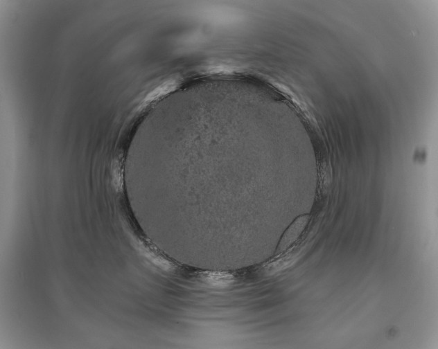 X0000094960719200711291441