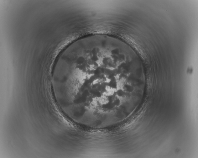 X0000094960721200711291440