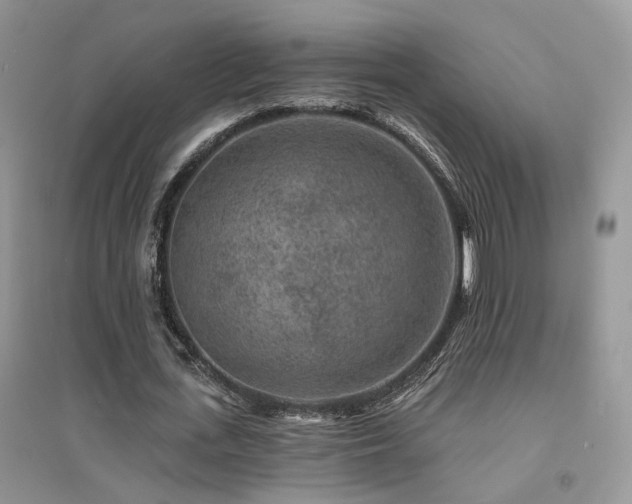 X0000094960723200711291440