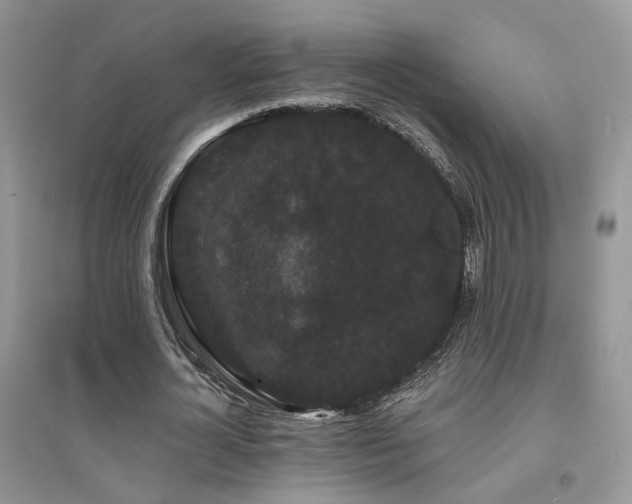 X0000094960724200711291440