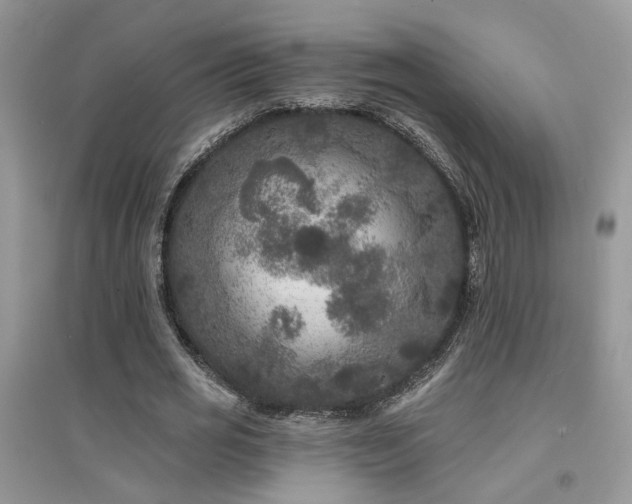 X0000094960725200711291440