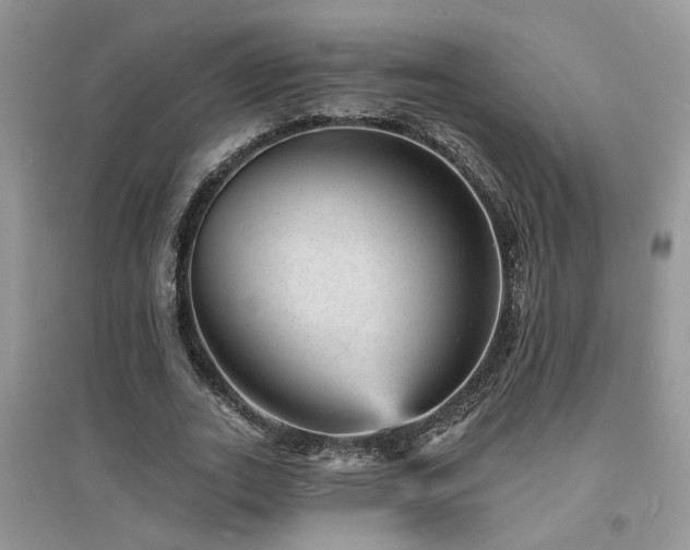 X0000094960727200711291440