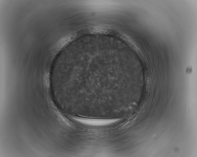 X0000094960729200711291440