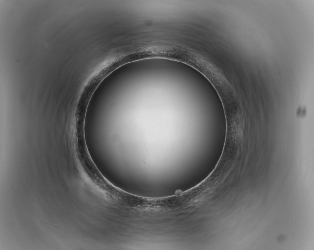 X0000094960730200711291440