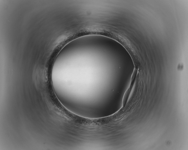 X0000094960731200711291440