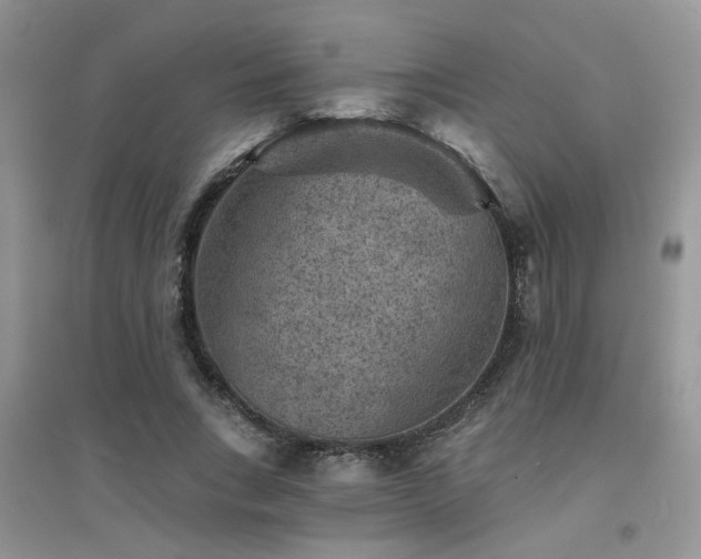 X0000094960735200711291440