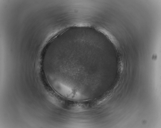 X0000094960736200711291440
