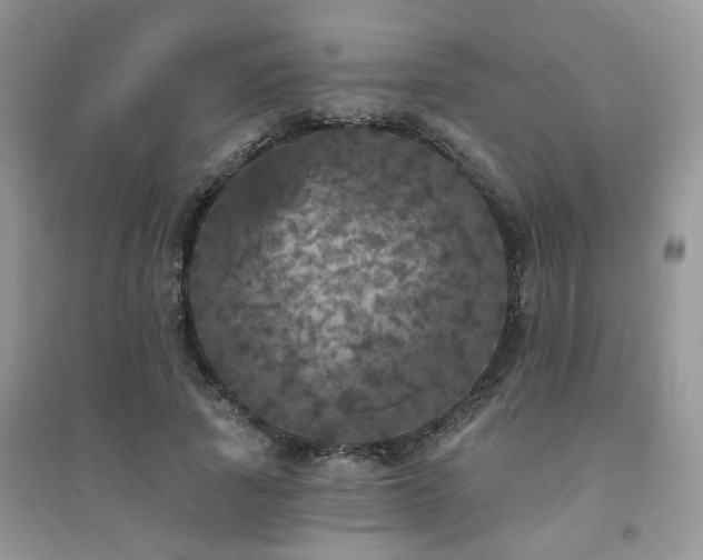 X0000094960737200711291440