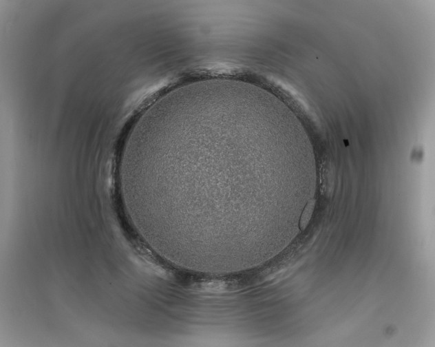 X0000094960740200711291440