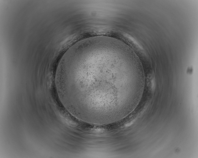 X0000094960741200711291440