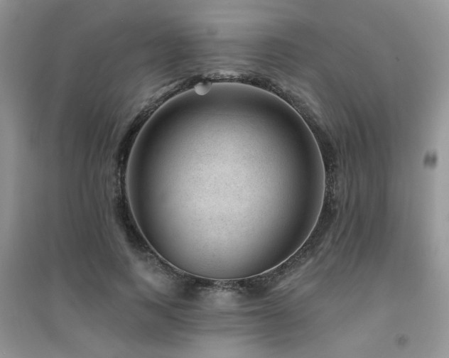 X0000094960743200711291440