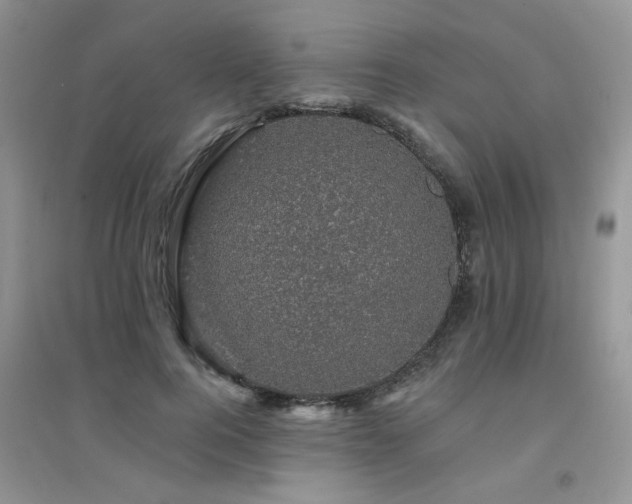 X0000094960744200711291440