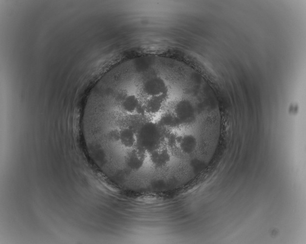 X0000094960745200711291440