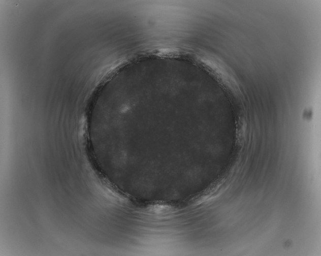 X0000094960748200711291440