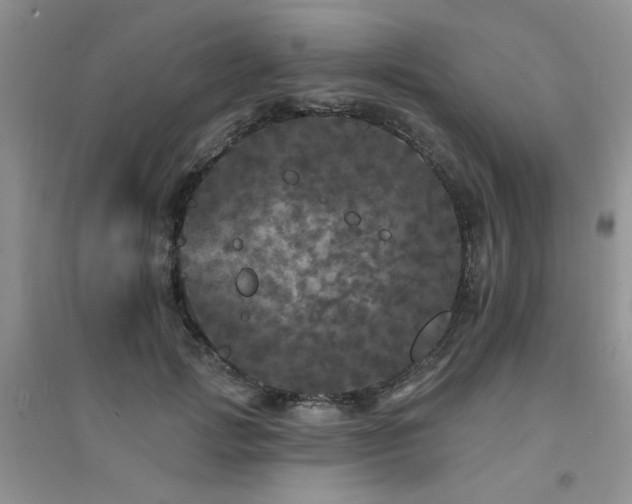 X0000094960749200711291440