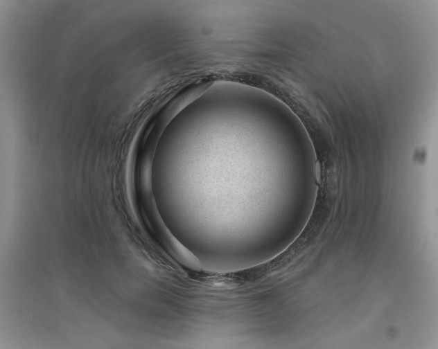 X0000094960750200711291440