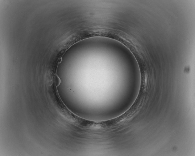 X0000094960751200711291440