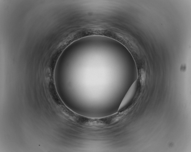 X0000094960752200711291440