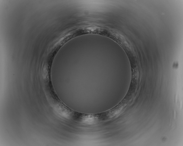 X0000094960754200711291440